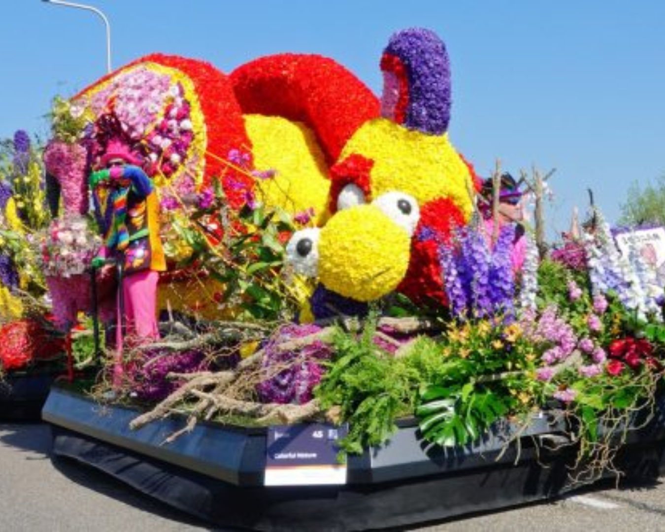 Bereikbaarheid tijdens Bloemencorso