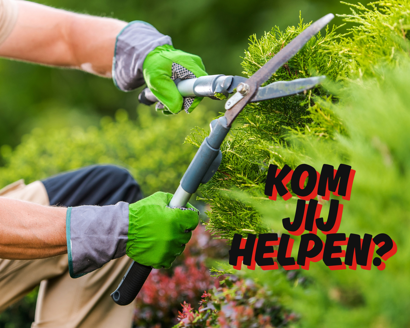 Extra handen voor groenonderhoud gezocht!