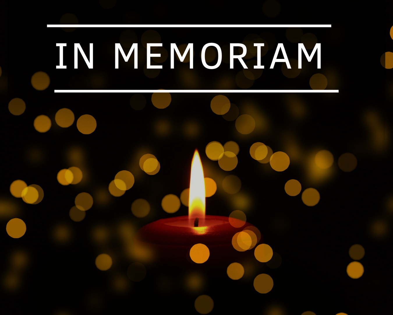 In Memoriam: Ria van der Vlugt